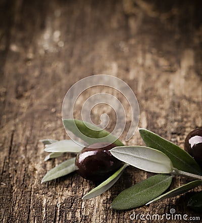 Black olive branch Stock Photo