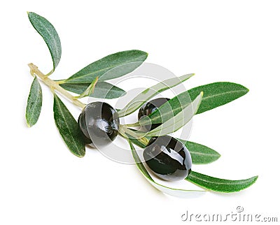 Black Olives Stock Photo