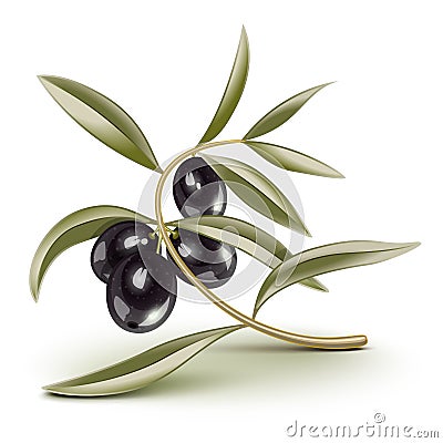 Black olives branch Vector Illustration