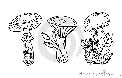 Black outline mushrooms set botanical line art illustration. Hand drawing forest plants art. Vector Illustration