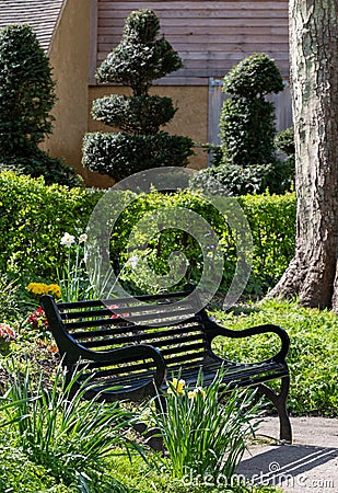 Black painted garden bench photographed in springtime at Eastcote House historic walled garden, Hillingdon UK Editorial Stock Photo