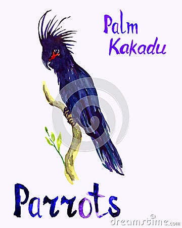 Black Palm Kakadu parrot sitting on branch Cartoon Illustration