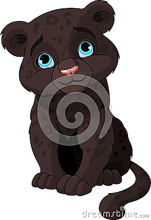 Black panther cub Vector Illustration