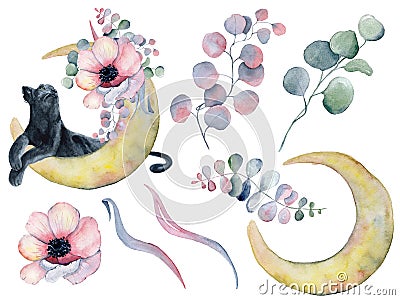 Black panther, flowers bouquet and moon phases watercolor illustration Cartoon Illustration