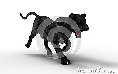 Black panther isolate on white background Stock Photo