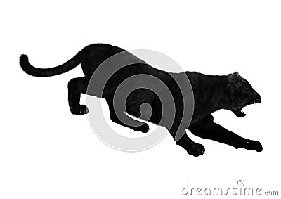 Black Panther on White Stock Photo