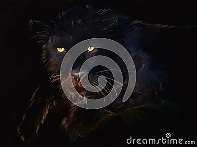 Black panthera Stock Photo