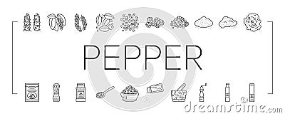 Black Pepper Aromatic Hot Spice Icons Set Vector Vector Illustration