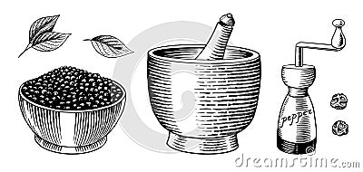 Black pepper set in Vintage style. Mortar and pestle, Allspice or peppercorn, Mill and dried seeds. Engraved hand drawn Vector Illustration