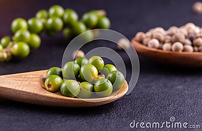 Black pepper spice peppercorn on wooden spoon and dark rustic background Stock Photo