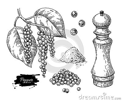 Black pepper vector drawing set. Peppercorn heap, mill, dryed seed, plant, grounded powder. Vector Illustration