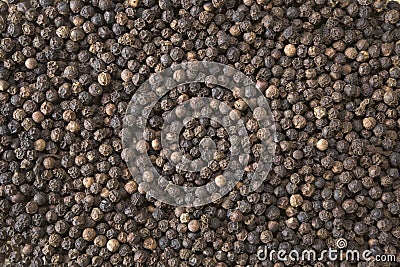 Black peppercorns Stock Photo