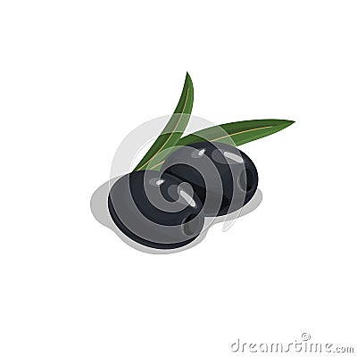 Black pitted olives with leaves in cartoon style. Flat simple design element for packaging, logos and other olive products. Vecto Vector Illustration