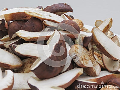 Porcini boletus edulis mushroom food Stock Photo