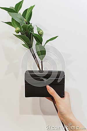 Black purse and branch with flowers Stock Photo