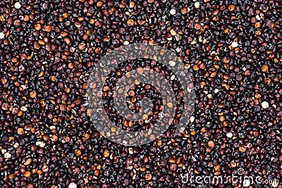 Black Quinoa background Stock Photo