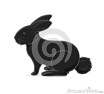Black Rabbit Vector Illustration Vector Illustration