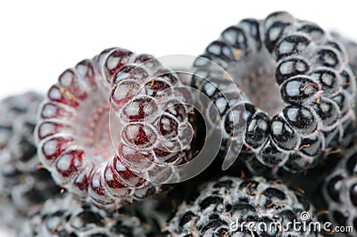 Black Raspberries Close-Up Stock Photo