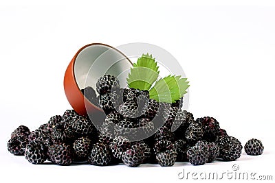 Black raspberries Cumberland isolated Stock Photo