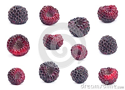 Black raspberry Cumberland set Stock Photo