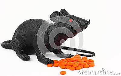 Black Rat With Drugs Stock Photo