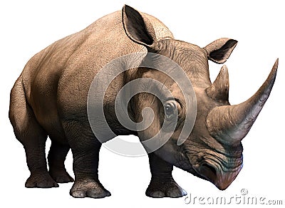 Black rhino Stock Photo