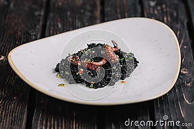 Black risotto with cuttlefish ink and octopus tentacles on irregular shape plate Stock Photo