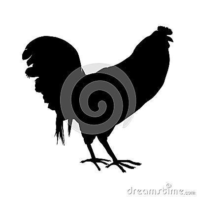 Black rooster silhouette Vector Illustration