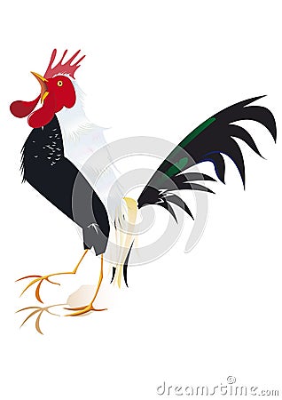 Black rooster Vector Illustration