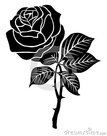 Black rose Vector Illustration