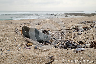 Shoe washed up on the beach with driftwood and seashells Stock Photo