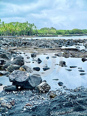 Black sand tide pool Stock Photo