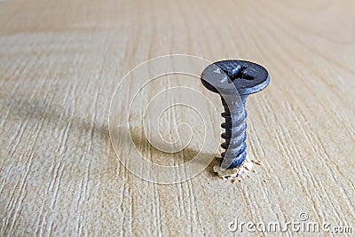 Black screw screwed into the wooden surface close up Stock Photo