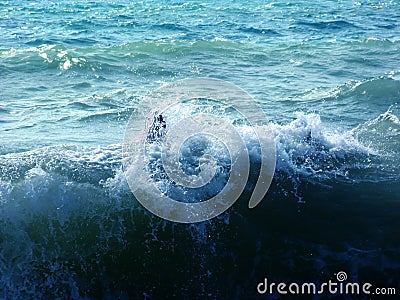 Black Sea - white wave Stock Photo