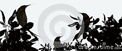 Black shadow bird sitting on tree illustration Cartoon Illustration