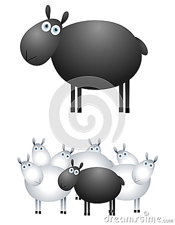 The Black Sheep Stock Photo