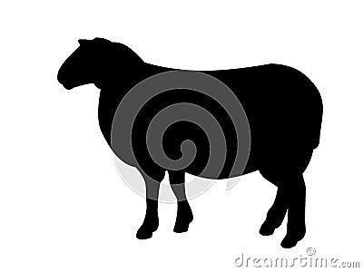 Black sheep silhouette Stock Photo