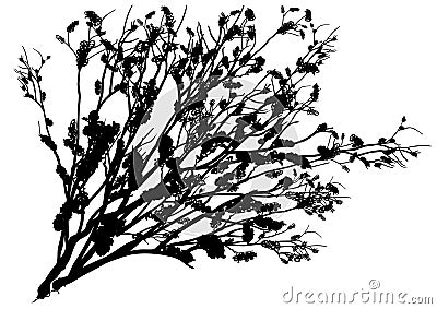 Black Shrub Silhouette Vector Illustration