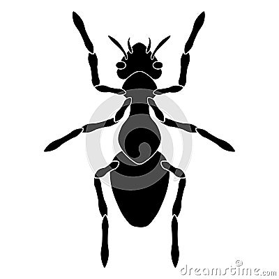 Black silhouette of an ant on a white background. Vector Illustration