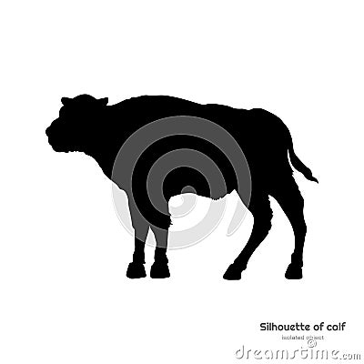 Black silhouette of bison calf on white background. Young buffalo isolated drawing. Wild bull image Vector Illustration