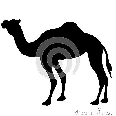 Black silhouette of a camel. Desert animal illustration Vector Illustration