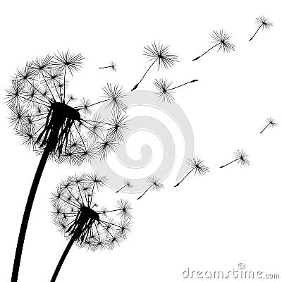 Black silhouette of a dandelion on white background Vector Illustration