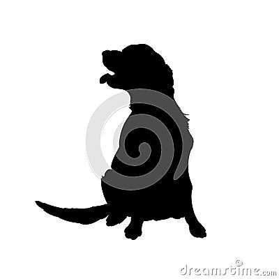 Black silhouette of dog. Isolated image of retriever. Farm pet. Veterinary clinic logo Vector Illustration