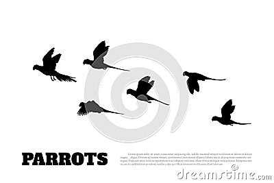 Black silhouette of a flock of parrots on white background. Animals of Australia Vector Illustration