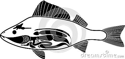 Black silhouette of Internal anatomy of fish. Structure of perch Perca fluviatilis Vector Illustration