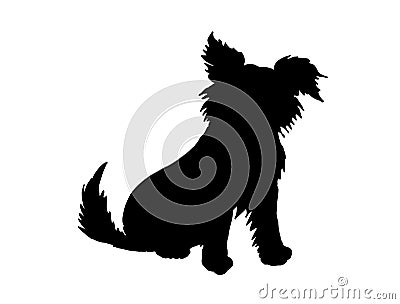Black silhouette of a long furred dog on white background. Computer generated sketch / drawing of a small puppy with long fur. Stock Photo