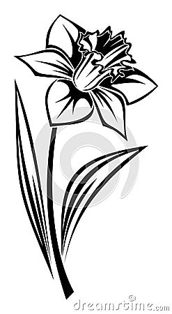 Black silhouette of narcissus flower. Vector. Vector Illustration