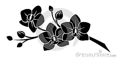 Black silhouette of orchid flowers. Vector Illustration