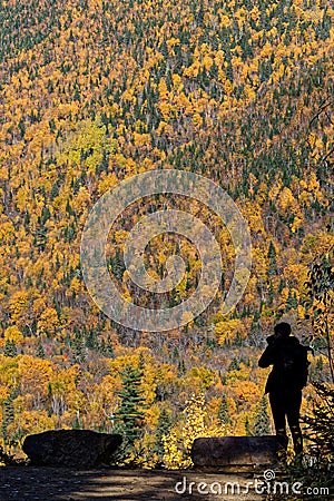 A dark woman takes pictures of a forest landscape Editorial Stock Photo