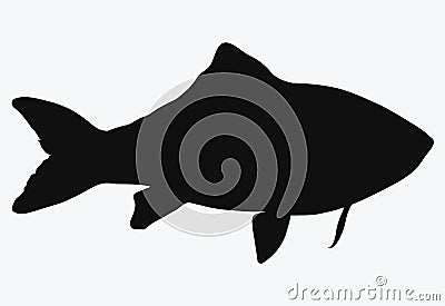 Black silhouette of river fish. Contour of the crucian carp. Logo. Tattoo. Vector Illustration